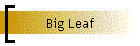 Big Leaf