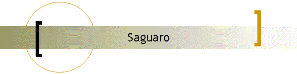 Saguaro