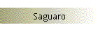 Saguaro