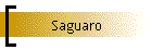 Saguaro