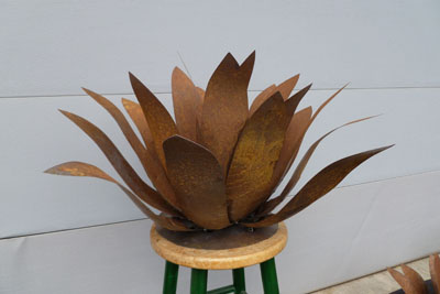 Steel Agave